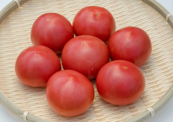 しゅんくる vol.28「赤採りトマト」