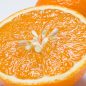 Jelly oranges – Sun Celeb