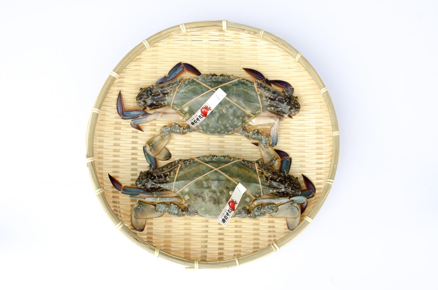 Japanese blue crab (watarigani)