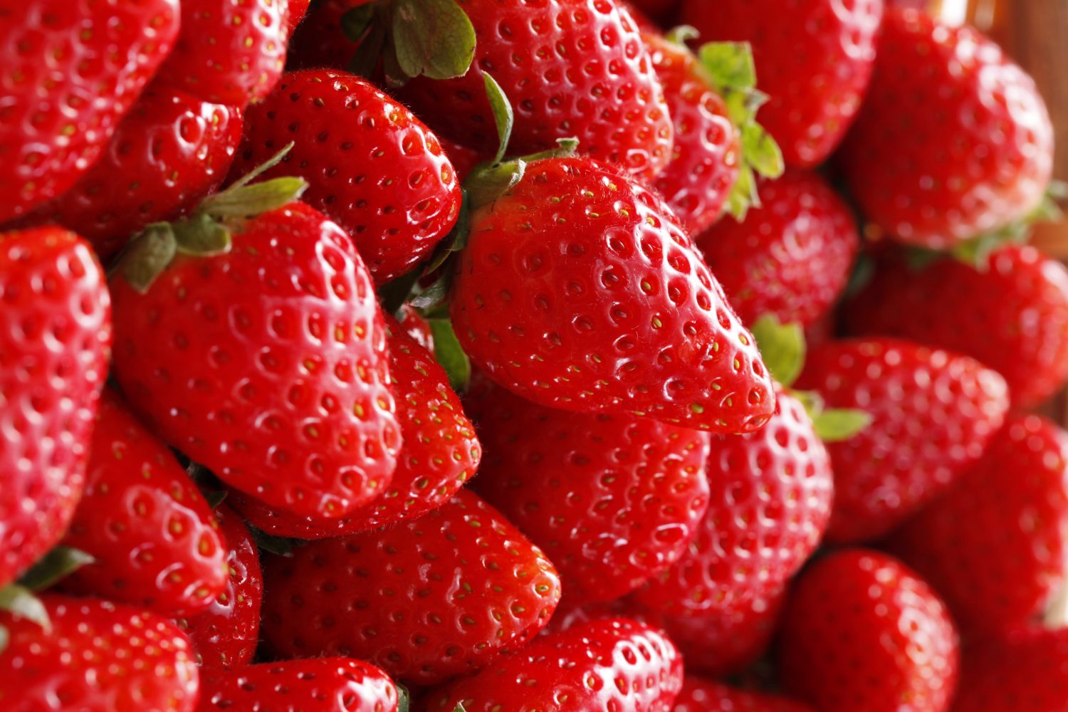 草莓| 大分縣的農林水產品| The・大分