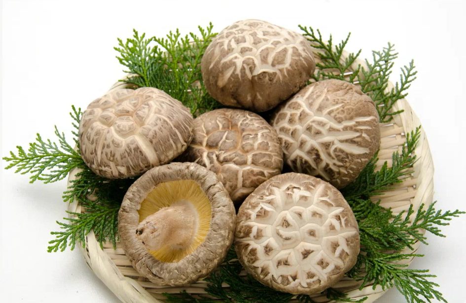 Dried shitake mushrooms