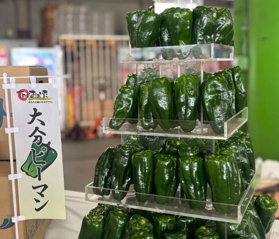 大分ピーマンが旬入りしました🎵