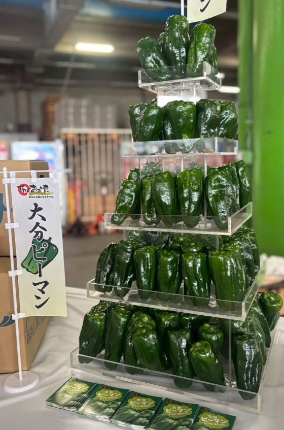 大分ピーマンが旬入りしました🎵