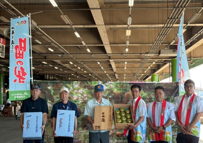 🍏日田梨の初競り式が行われました🍏